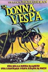 La donna vespa