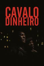 Cavallo Denaro