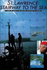 Saint-Laurent : Escalier vers la mer