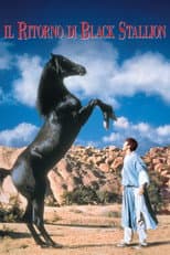 Il ritorno di Black Stallion