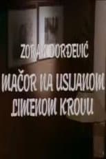 Mačor na usijanom limenom krovu