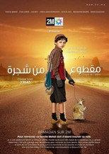 مقطوع من شجرة