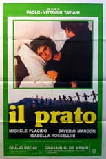 Il prato