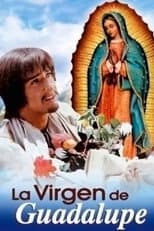 La virgen de Guadalupe
