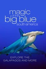 Mondo sommerso - The Magic of the Big Blue
