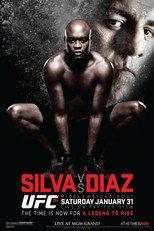 UFC 183: Silva vs. Diaz