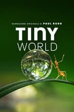 Tiny World