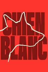 Chien blanc