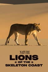 Lions of the Skeleton Coast