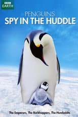Il pinguino: una spia tra la folla