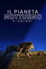 Il pianeta notturno a colori