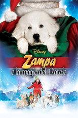 Zampa e la magia del Natale
