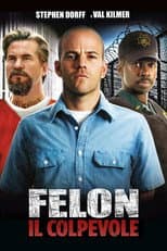 Felon - Il colpevole