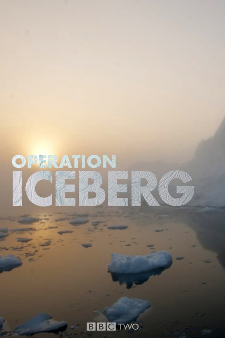 Iceberg
