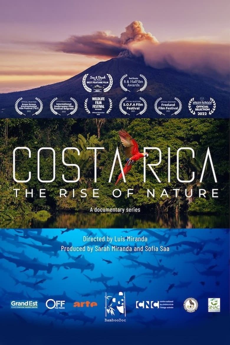 Costa Rica - I custodi degli squali