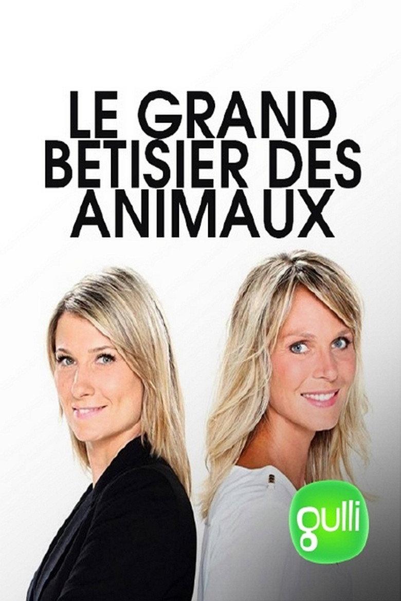 Lille OSC - Betis