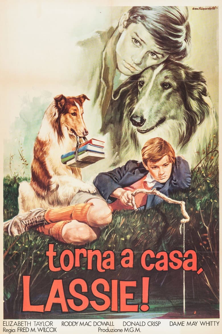 Lassie torna a casa