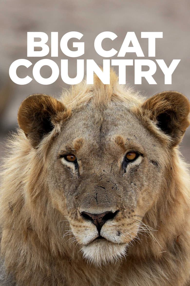 Big cat country