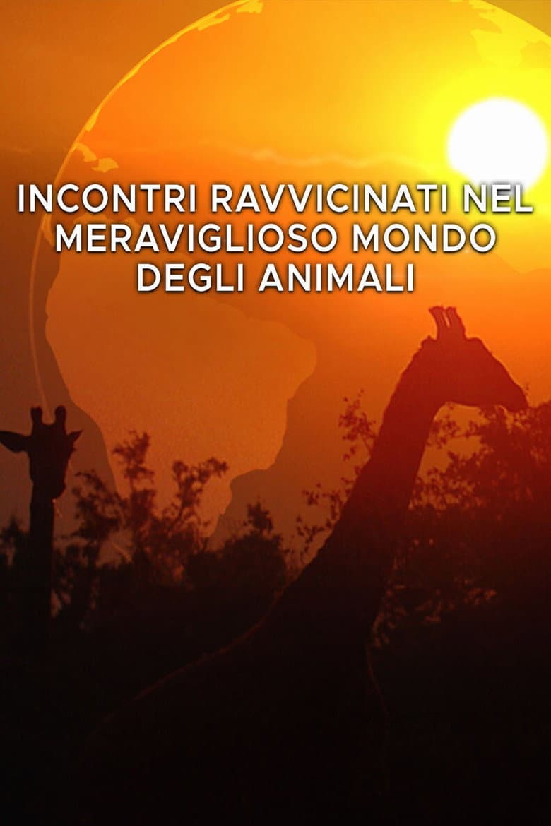 Incontri ravvicinati
