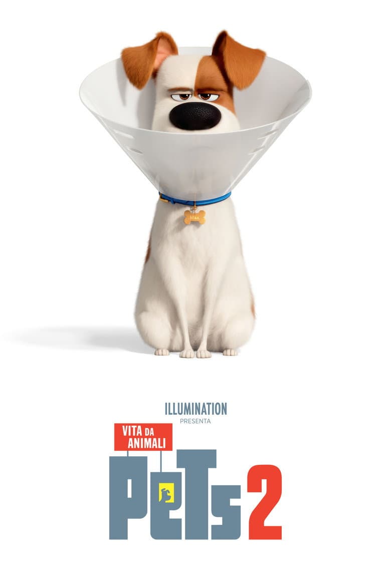Pets - Vita da animali