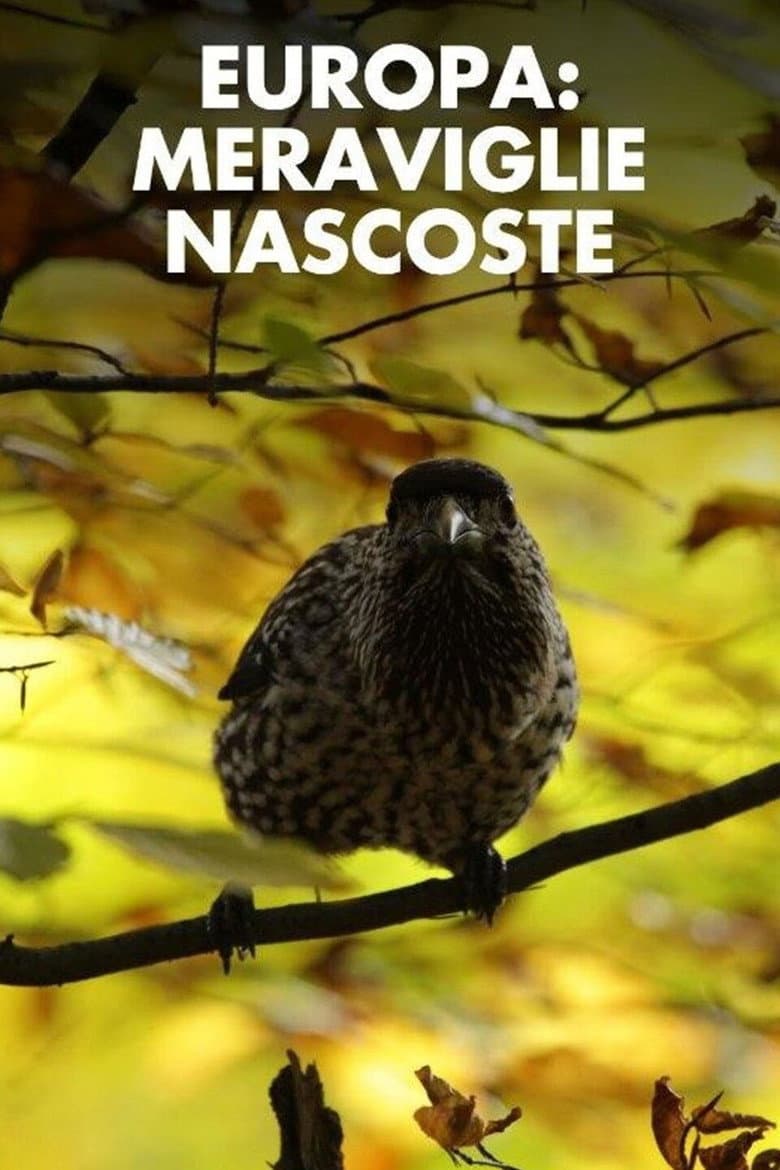 Meraviglie nascoste