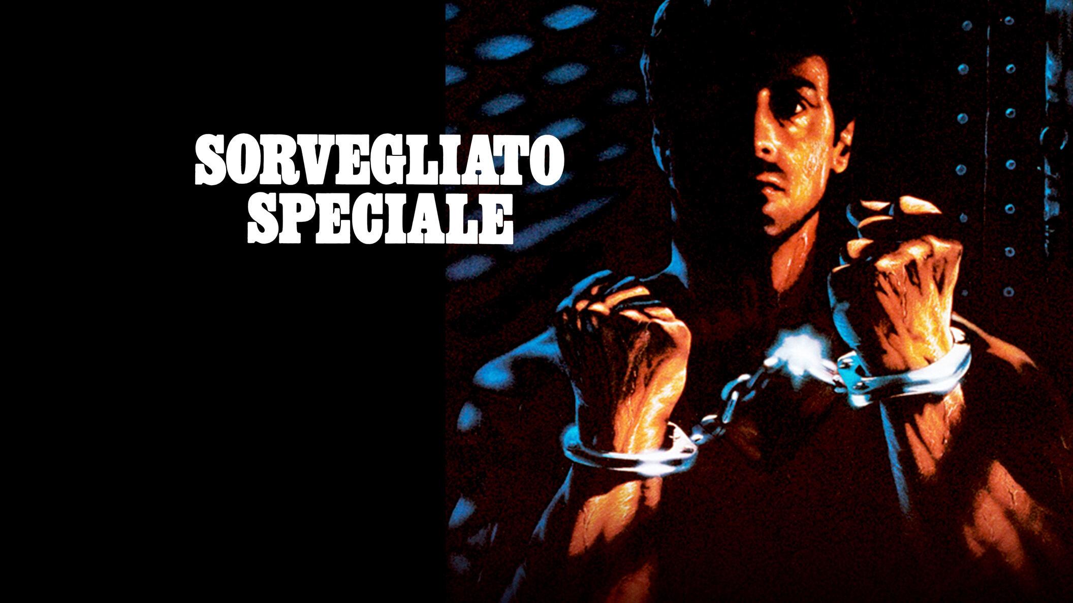 Sorvegliato speciale (di j. flynn)