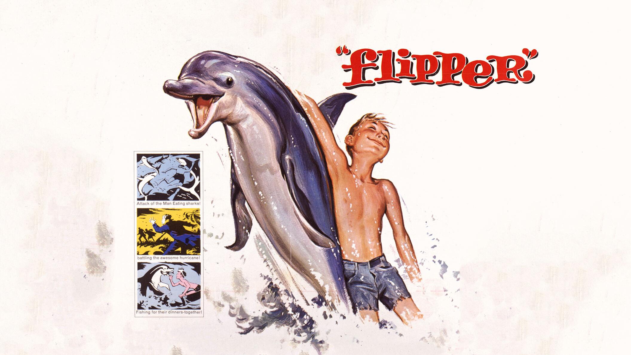 Flipper