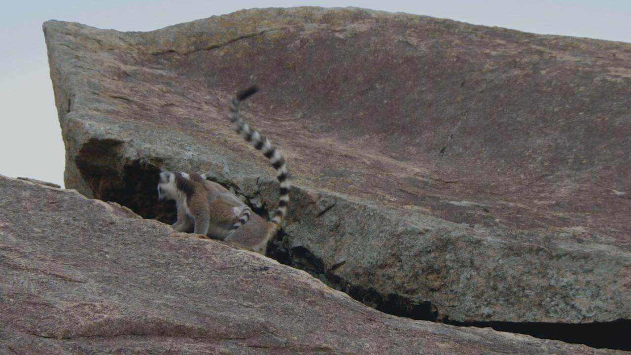 Dall'alba al tramonto