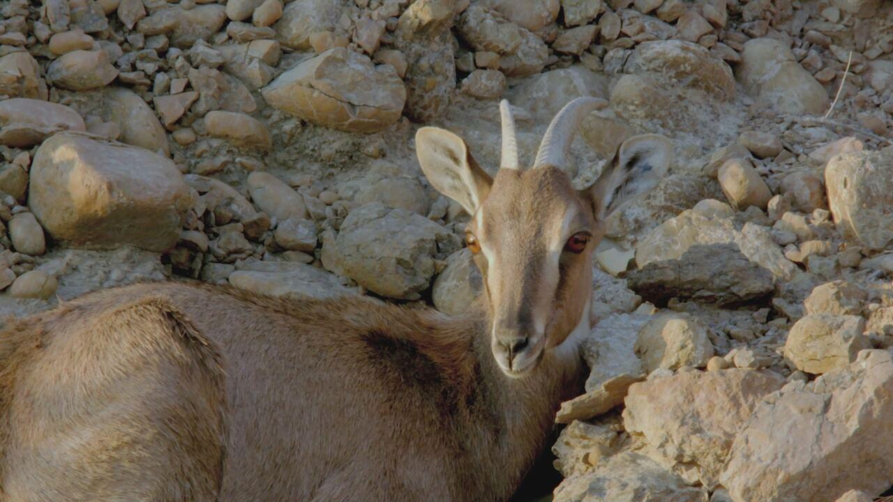Dall'alba al tramonto