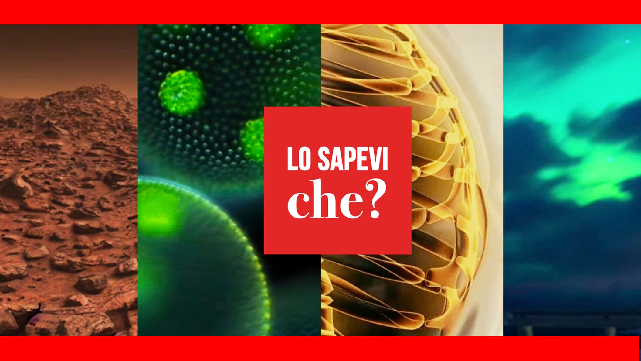 Lo sapevi che?