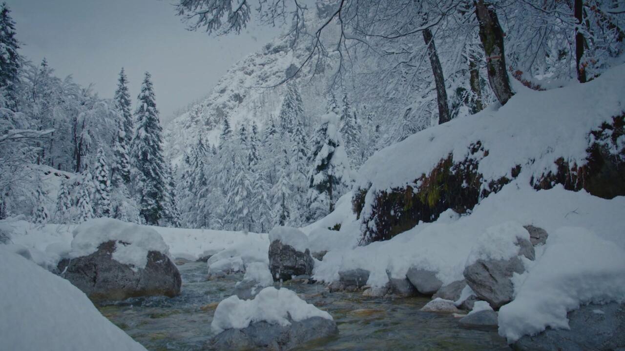 Alpi - Vivere all'estremo