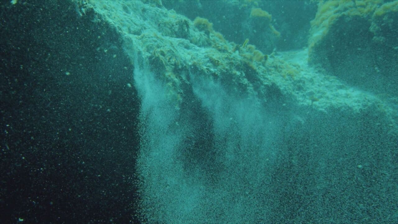 Bermuda: i misteri degli abissi