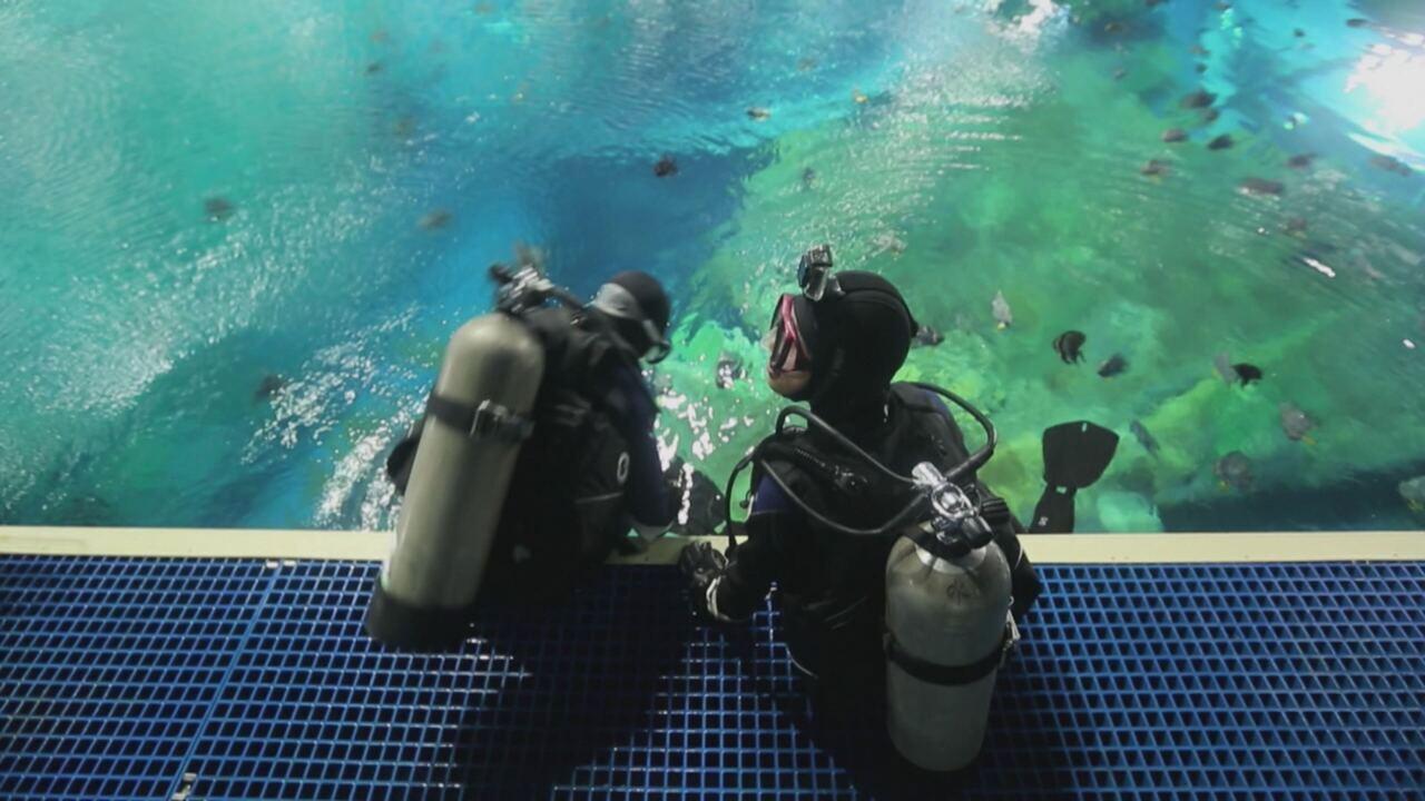 L'acquario più grande del mondo