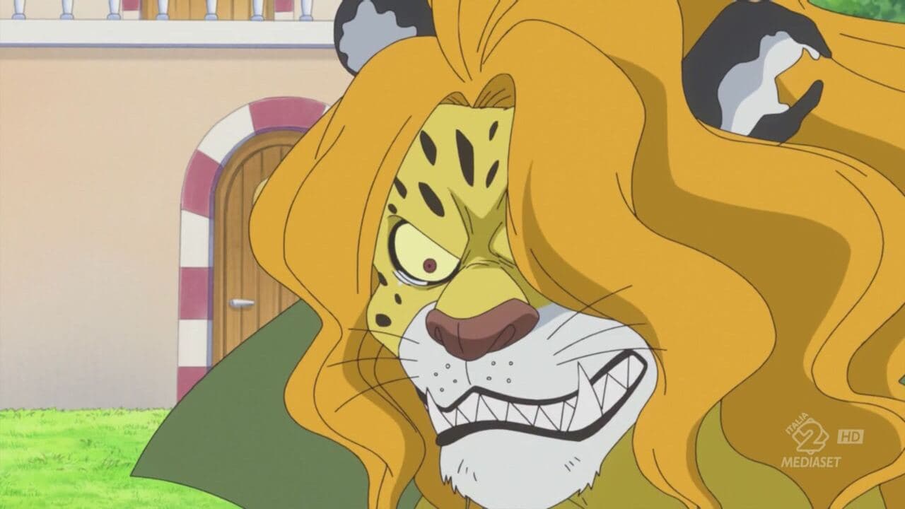 One Piece 17