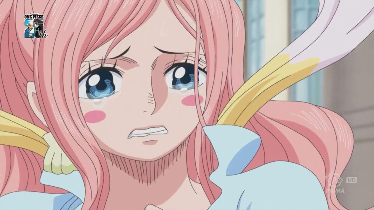 One Piece 17