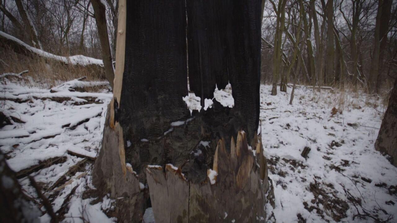 Strange evidence 2