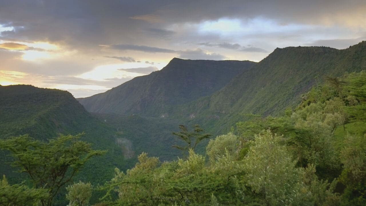Il mondo tropicale