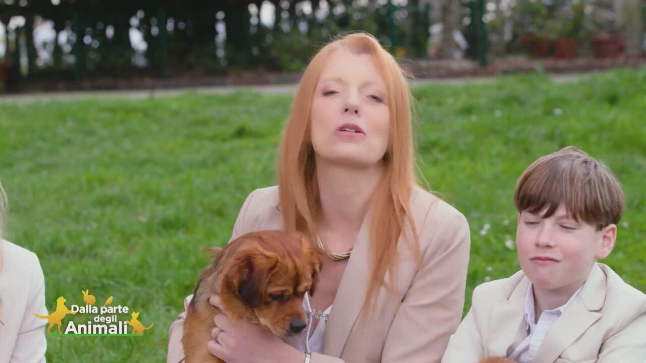 Dalla parte degli animali