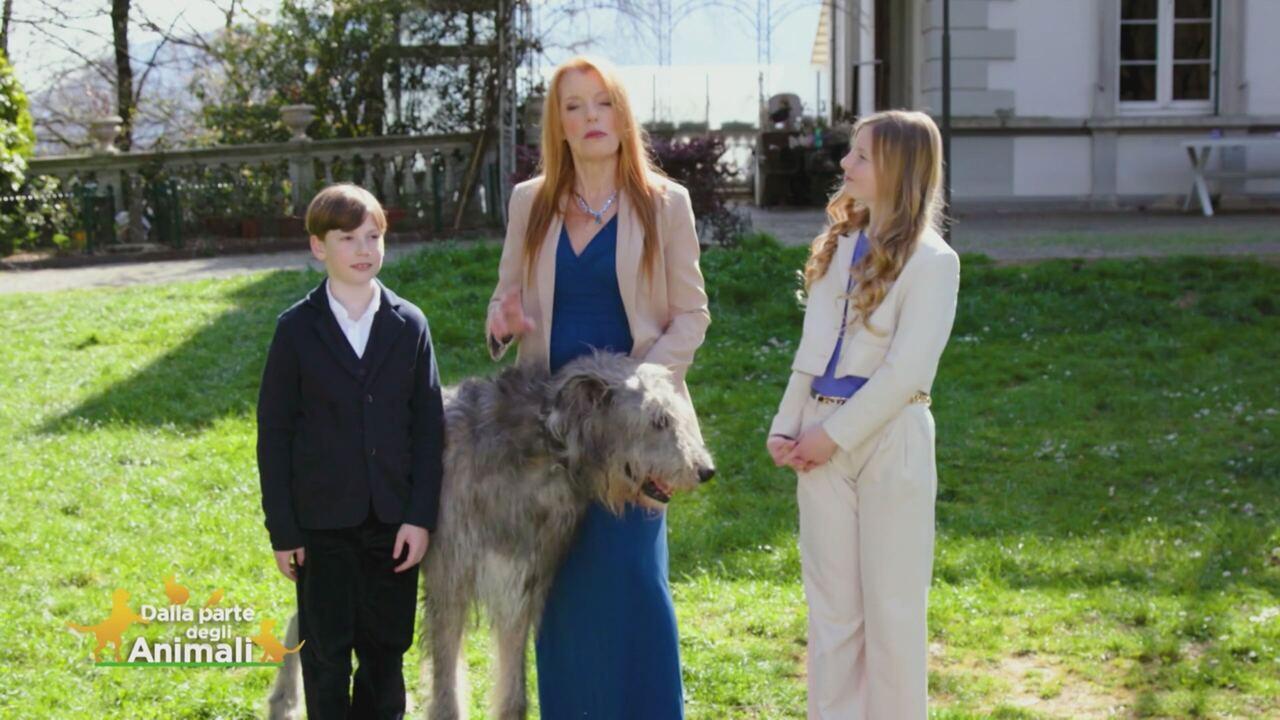 Dalla parte degli animali