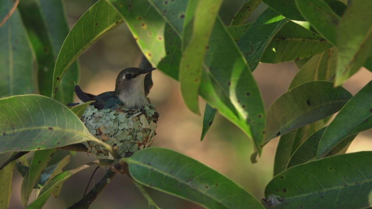 Cuba: meraviglie della natura