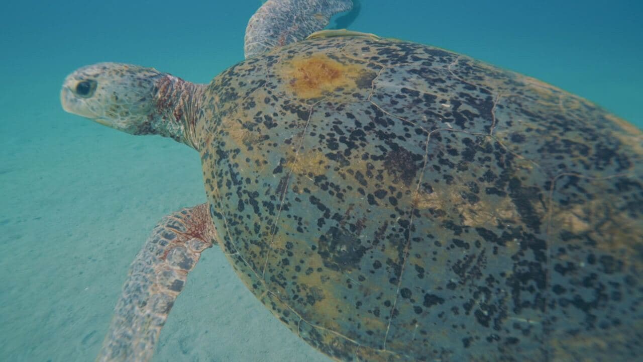 Vietnam: meraviglie della natura