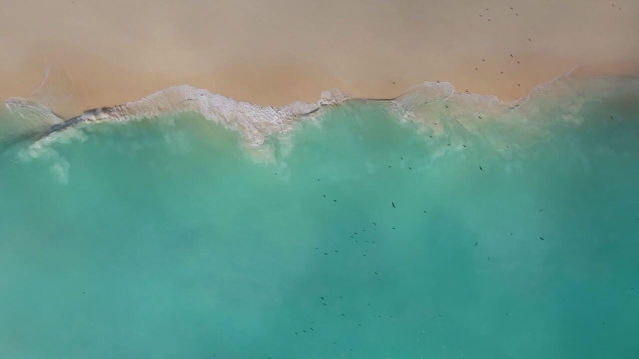 L'Oceano Indiano e le sue isole-simbolo