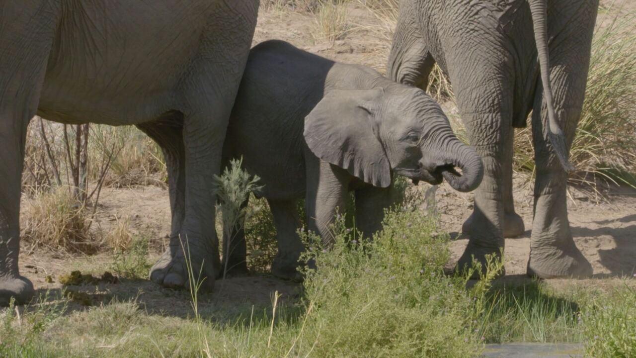 Namibia: la perla d'Africa