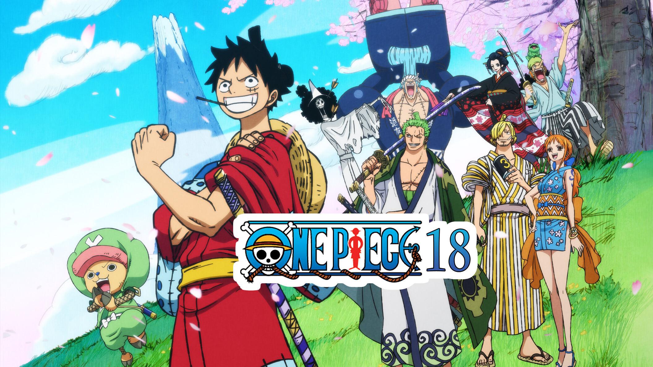 One Piece 18