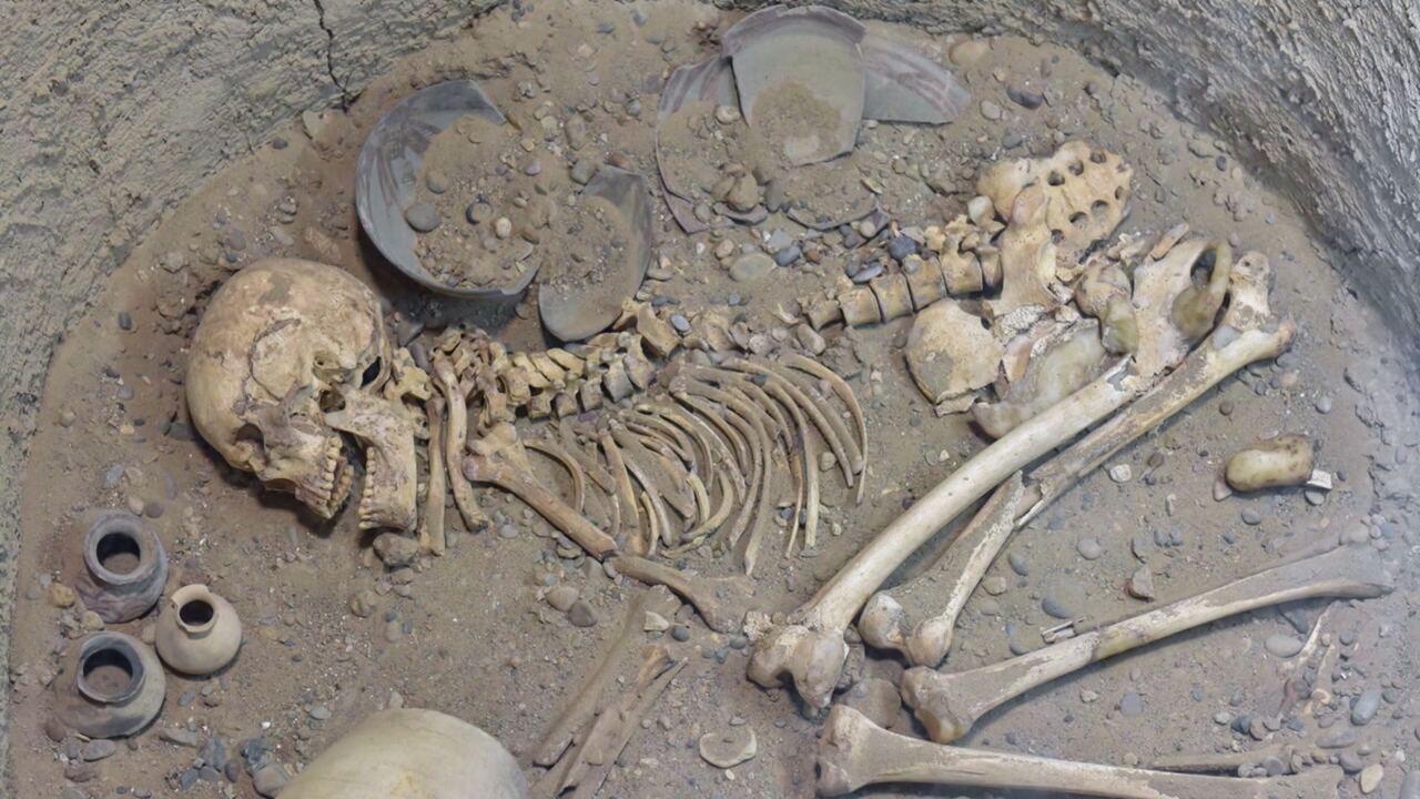 Cose che ti aspettano al buio