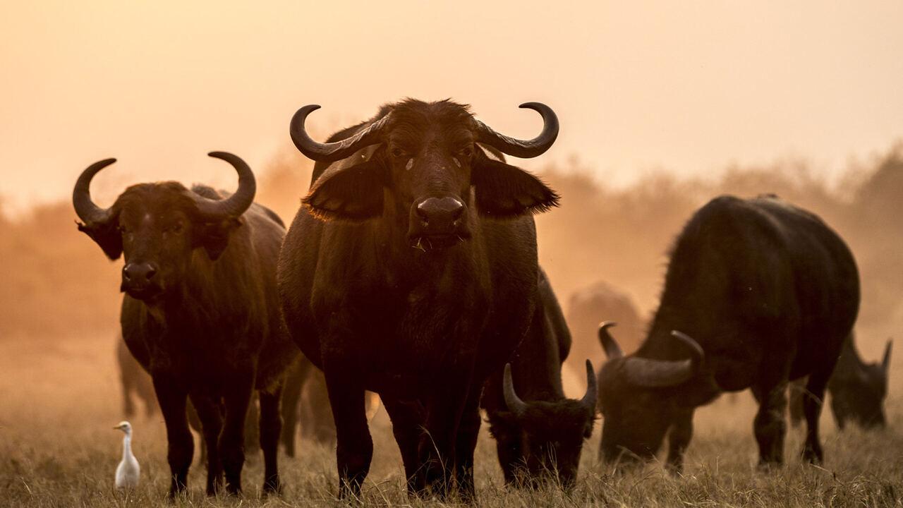 La natura insegna: i cambiamenti