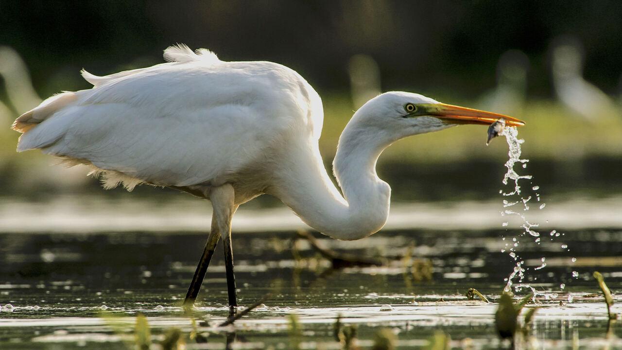 La natura insegna: le ciclicità