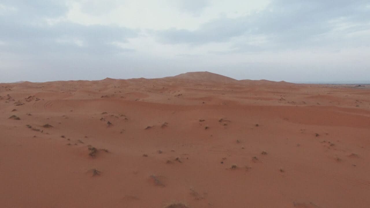 La terra dopo l'uomo 3
