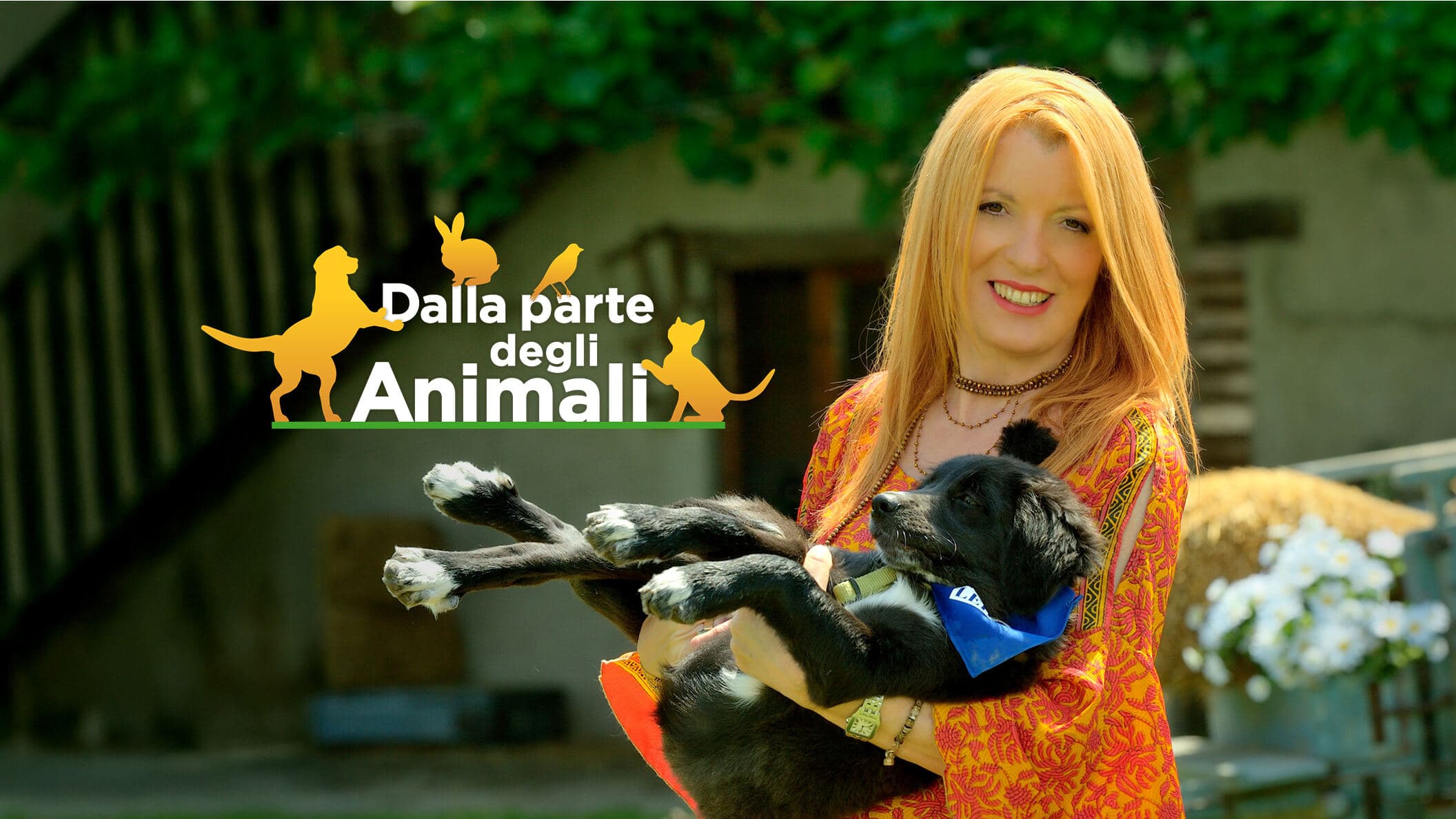 Dalla parte degli animali