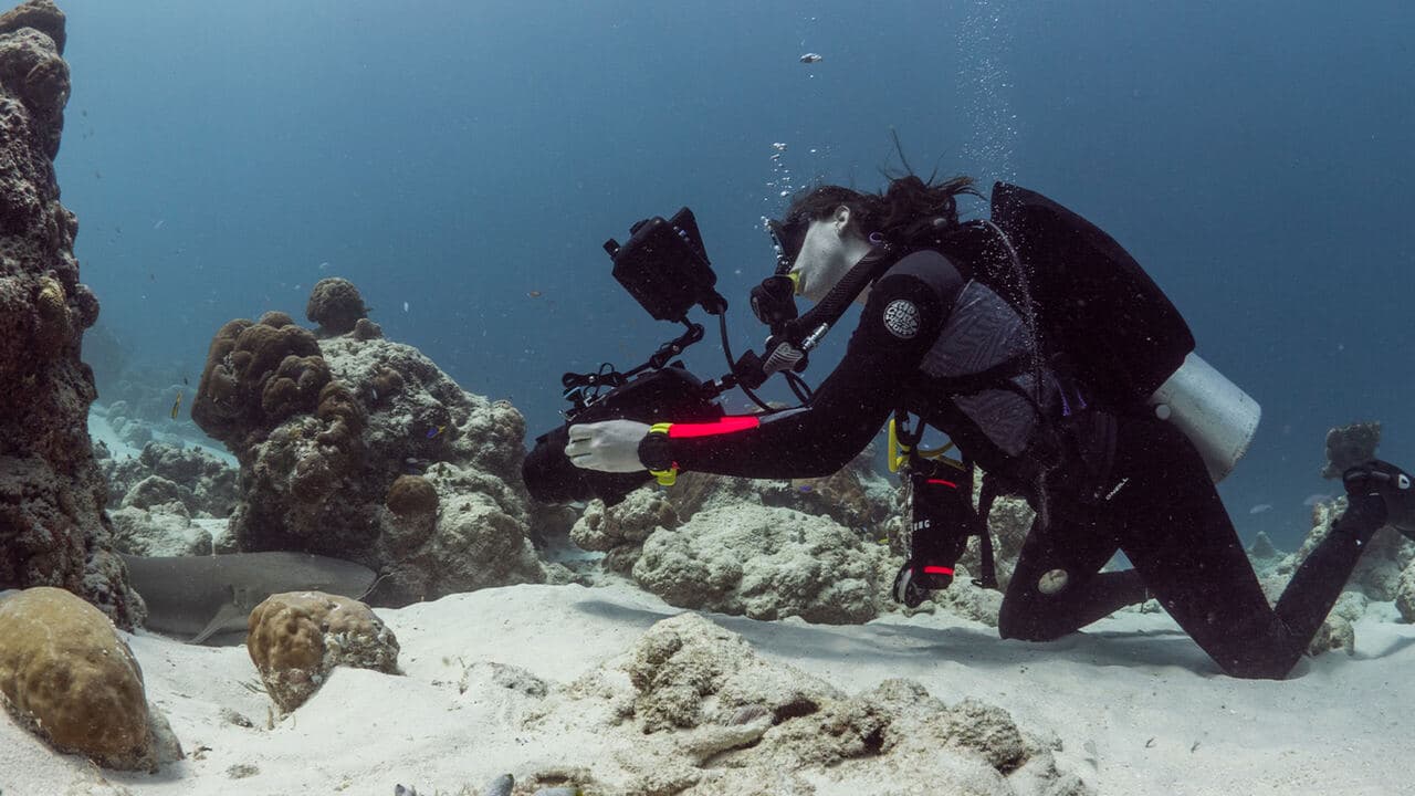 Profondo Maldive